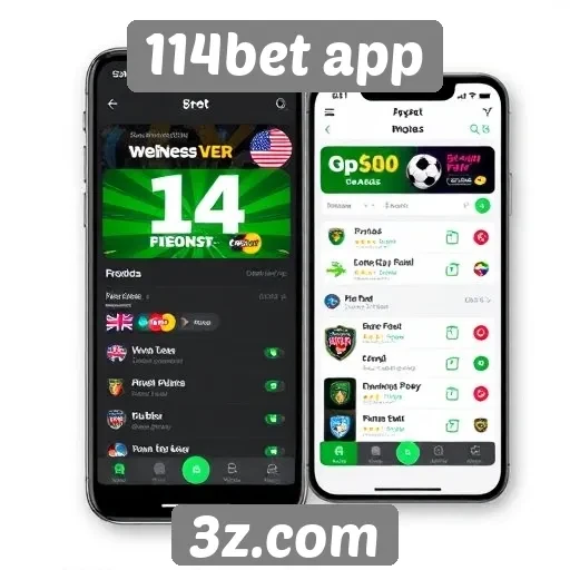 Promoções e bônus oferecidos pelo 114bet app